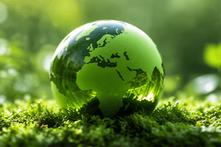 Carbon Reduction Goals