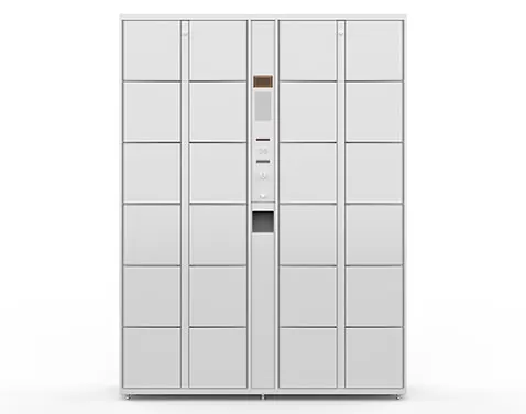 electronic storage locker
