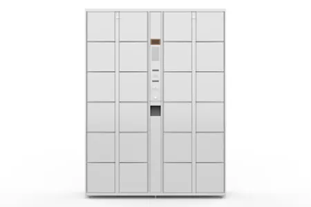 Electronic Storage Locker