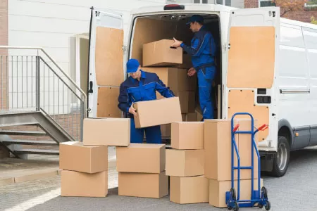 High Distribution Cost