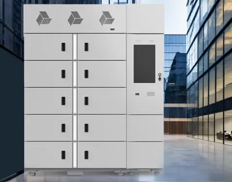 buy Smart Frozen Locker