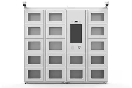 Valuables Storage Locker