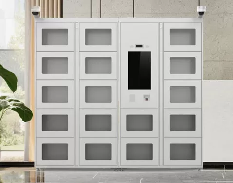 buy smart valuables locker